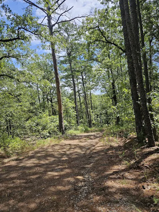 Lake Fork Paradise RV Resort 5