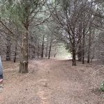 Blackjack Cove Campground at Fort Cobb State Park