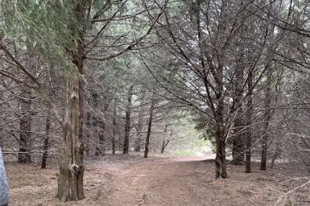 Blackjack Cove Campground at Fort Cobb State Park
