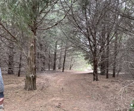 Blackjack Cove Campground at Fort Cobb State Park