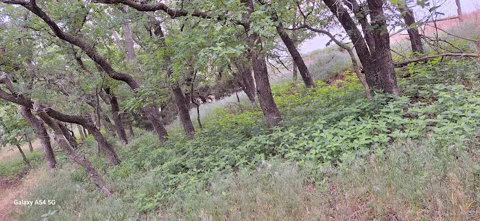 Deer Run Campground at Fort Cobb State Park 1