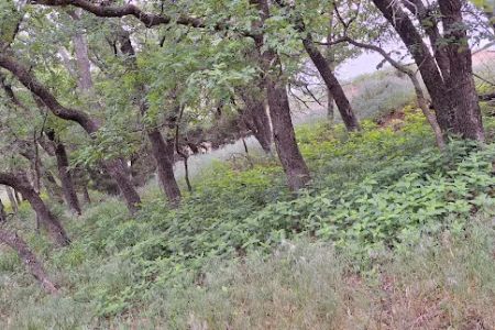 Deer Run Campground at Fort Cobb State Park