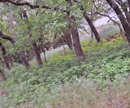 Deer Run Campground at Fort Cobb State Park