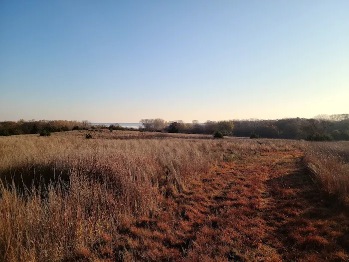Cottonwood Campground 7