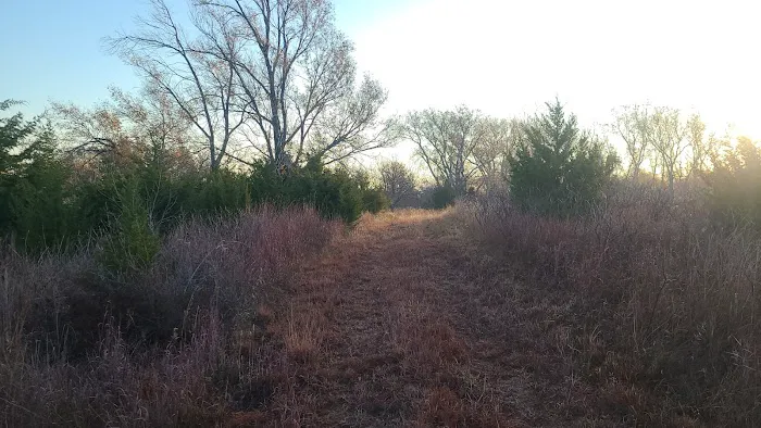 Cottonwood Campground 2