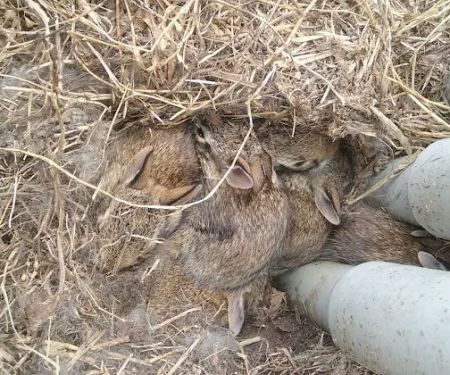 Melody Acres Rv Park