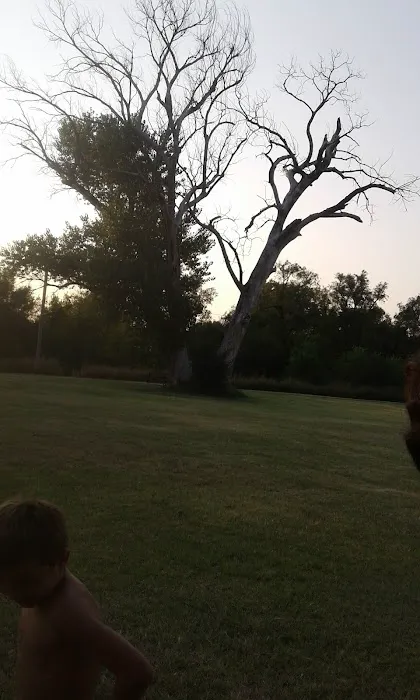 Dog Creek Campground 7