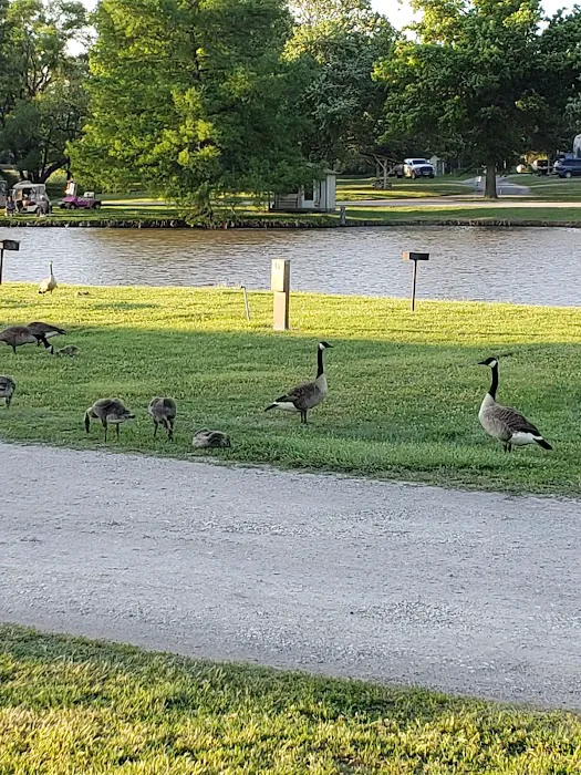 Wichita Spring Lake RV Resort 8