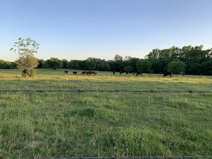 Caney Creek Station LLC 7