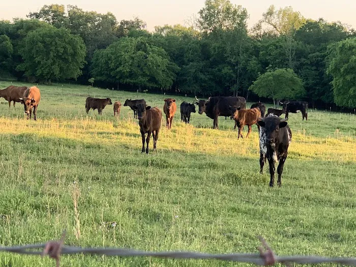 Caney Creek Station LLC 9