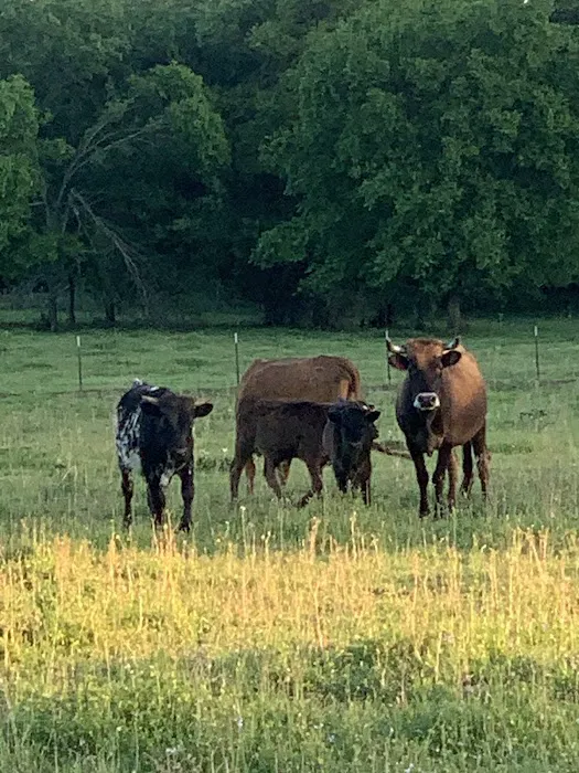 Caney Creek Station LLC 4