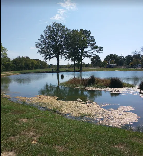Tyler Oaks RV Resort 4