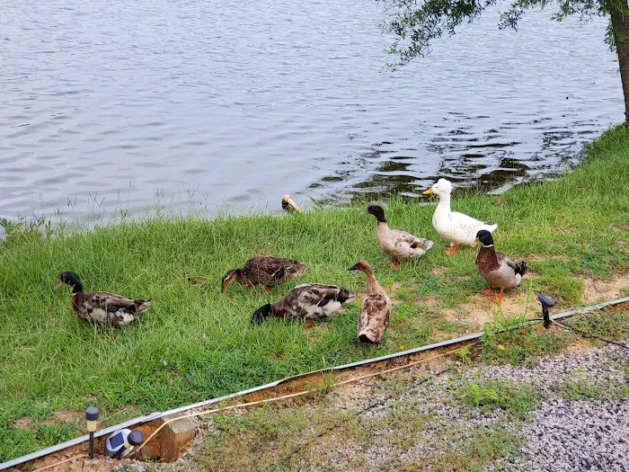 Hidden Lake RV Park 4