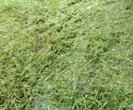 Bayou Mobile Estates