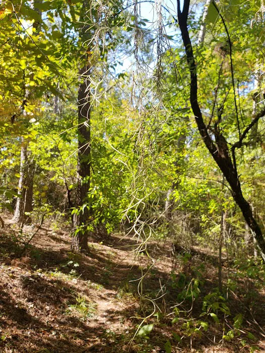 Bodcau Campgrounds 8
