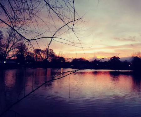 Lakewood Village Mobile Home Park