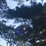 Lin Park Mobile Home & RV Park