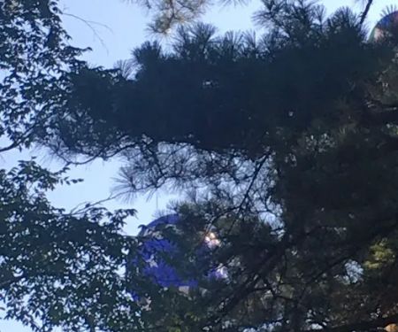 Lin Park Mobile Home & RV Park