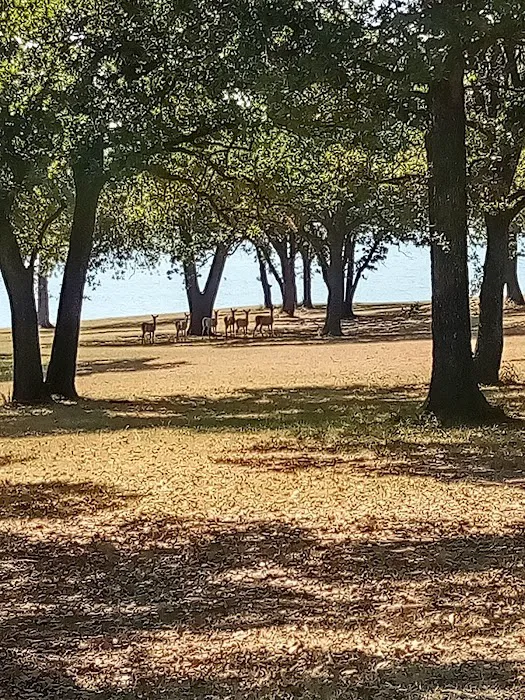 LH Campground, Fishing, Pavillion 5