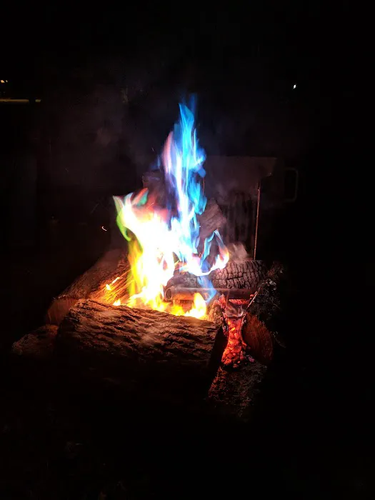 Dukes Forest Campground 1