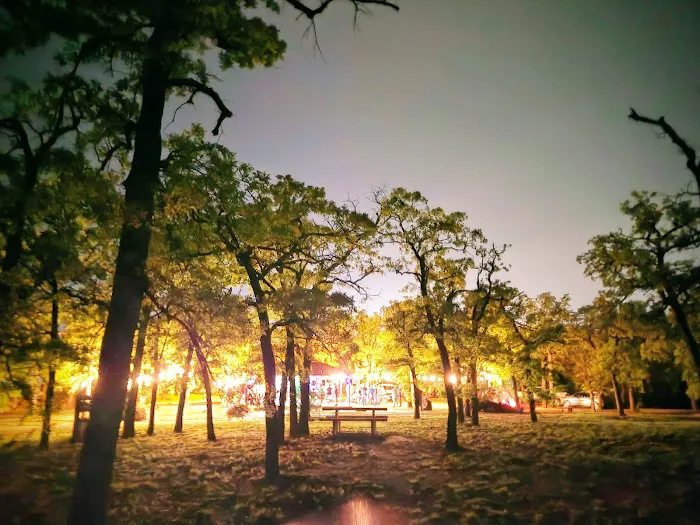 Dukes Forest Campground 7