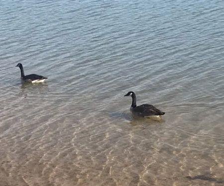 Martin's Landing Campground