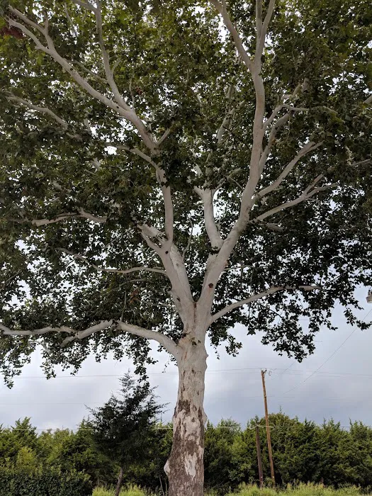 Bratonia RV Park 1