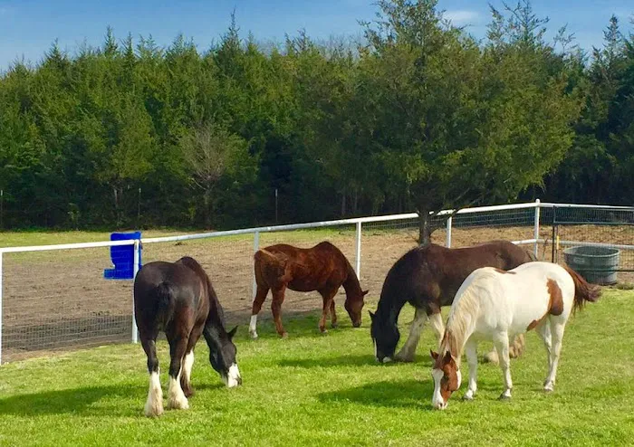 Lakeland RV Ranch and Campground, LLC 7