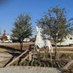 Mustang RV Park