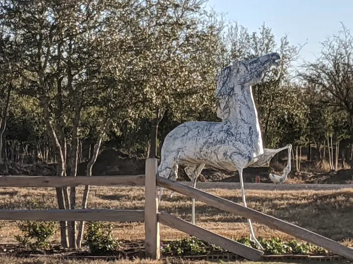 Mustang RV Park 6
