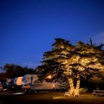 Lavonland RV Resort