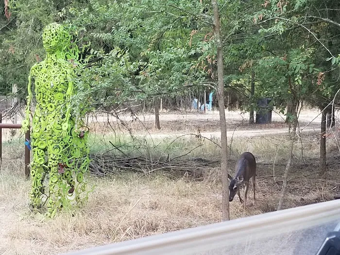 Shoreline RV Park & Marina 10