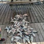 Rabbit Cove Landing Rv/Marina