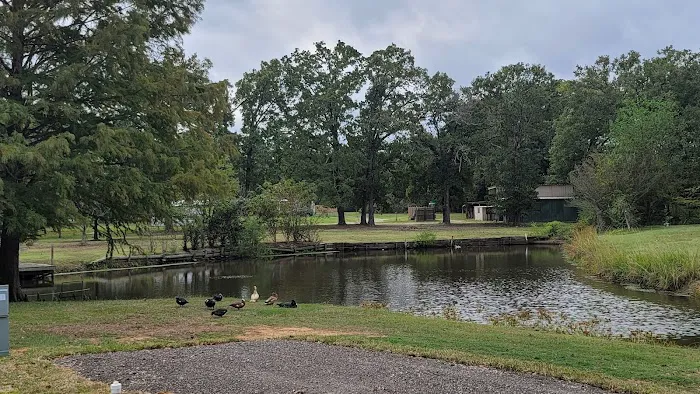 Emory Oaks RV Park 1