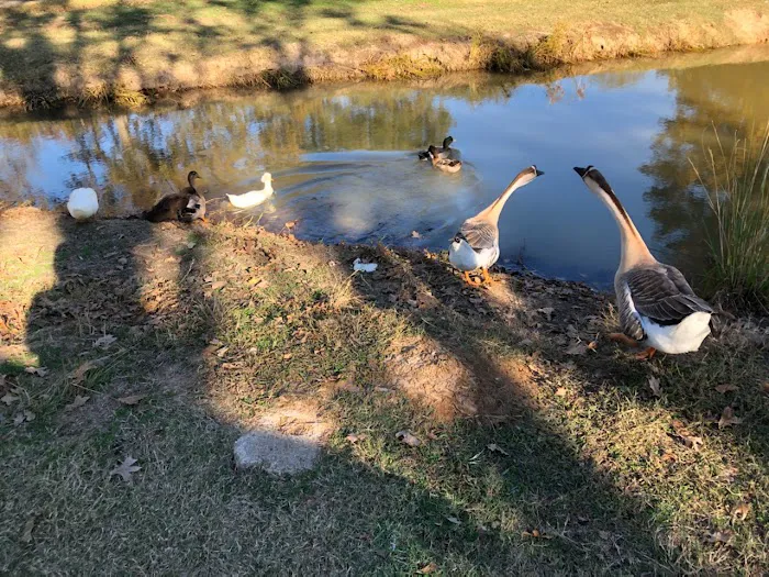 Emory Oaks RV Park 2