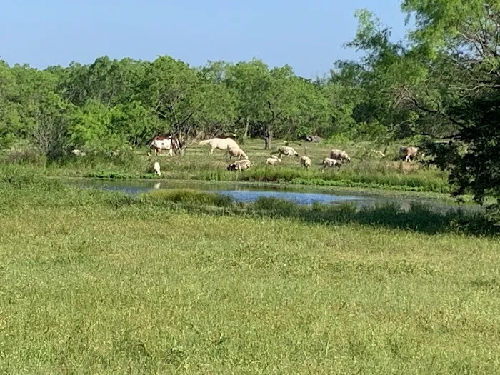 Royse City Rv Park 6