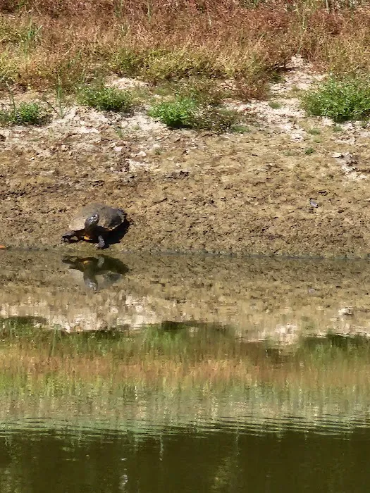 Coyote Creek RV 2