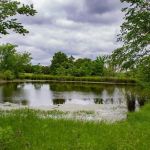 Queen & Duke RV Resort