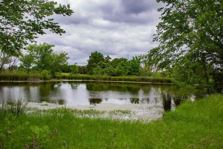 Queen & Duke RV Resort