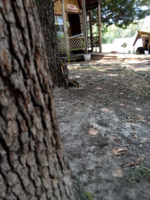 Willow Branch RV Park 3