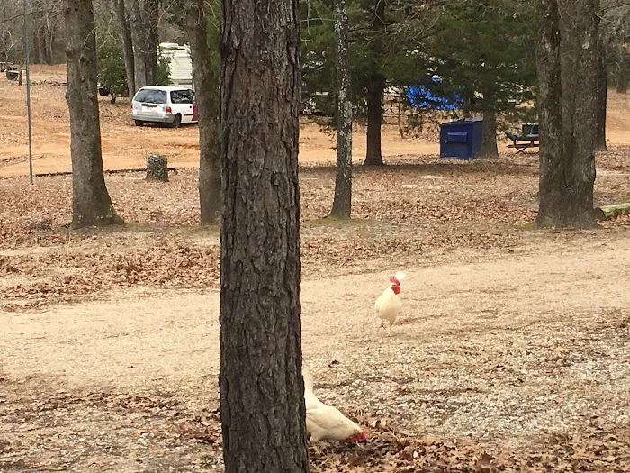 Willow Branch RV Park 8