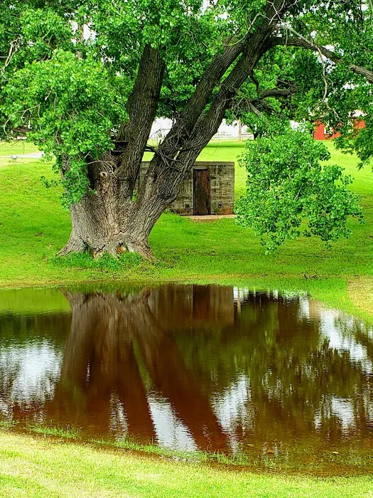 Spring Lake Camp 10