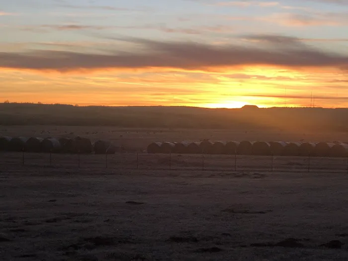 Gyp Hills Guest Ranch 8