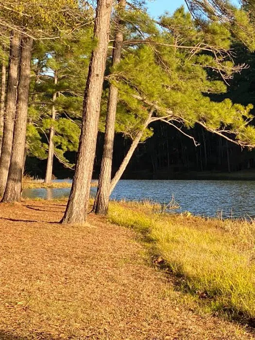 The Reserve RV Park 4