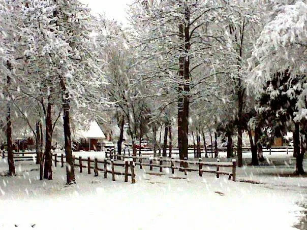 Stone Fort Camp & Conference 1
