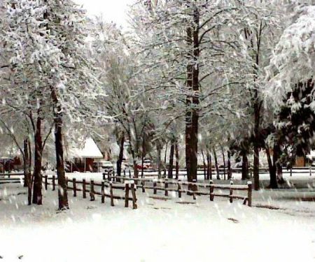 Stone Fort Camp & Conference
