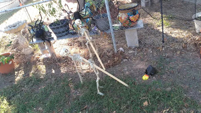 South Bossier Mobile Home Park 9
