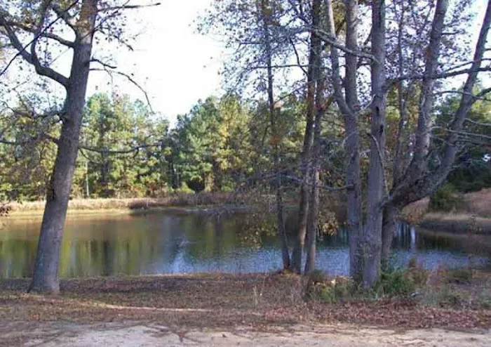 Plantation Acres 6