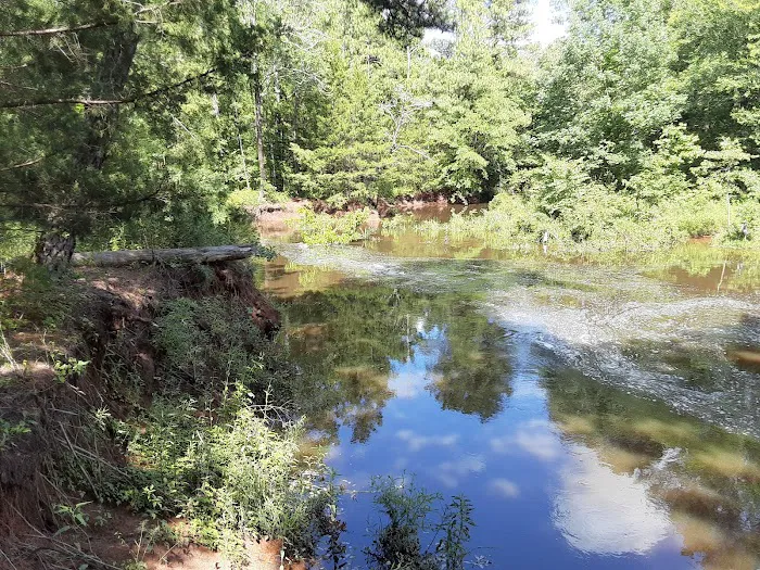 Ivan Lake Recreation Area 8
