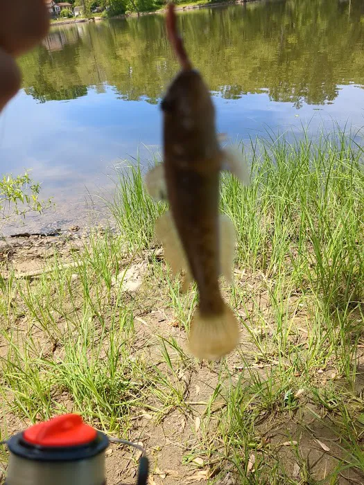 Ivan Lake Recreation Area 1